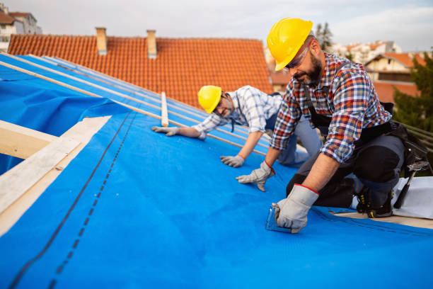 Best Roof Repair Services  in Des Allemands, LA